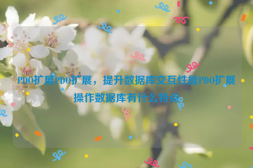 PDO扩展PDO扩展，提升数据库交互性能PDO扩展操作数据库有什么特点