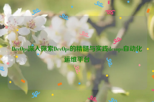 DevOps深入探索DevOps的精髓与实践devops自动化运维平台