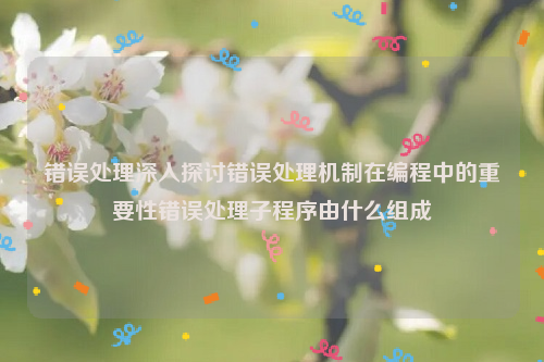 错误处理深入探讨错误处理机制在编程中的重要性错误处理子程序由什么组成