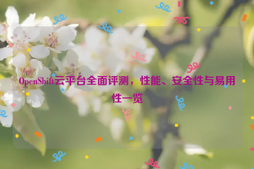 OpenShift云平台全面评测，性能、安全性与易用性一览