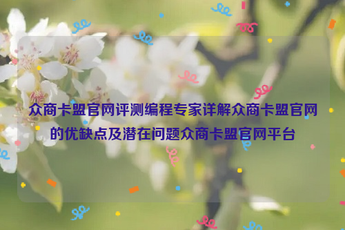 众商卡盟官网评测编程专家详解众商卡盟官网的优缺点及潜在问题众商卡盟官网平台