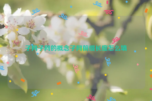 子网子网的概念子网前缀长度怎么填