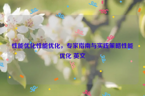 性能优化性能优化，专家指南与实践策略性能优化 英文