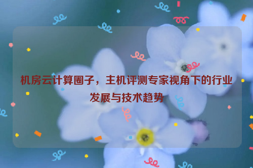 机房云计算圈子，主机评测专家视角下的行业发展与技术趋势