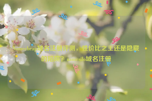 Namecheap域名注册评测，性价比之王还是隐藏的陷阱？namesilo域名注册