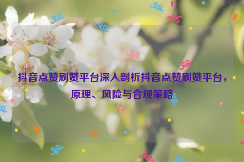 抖音点赞刷赞平台深入剖析抖音点赞刷赞平台，原理、风险与合规策略