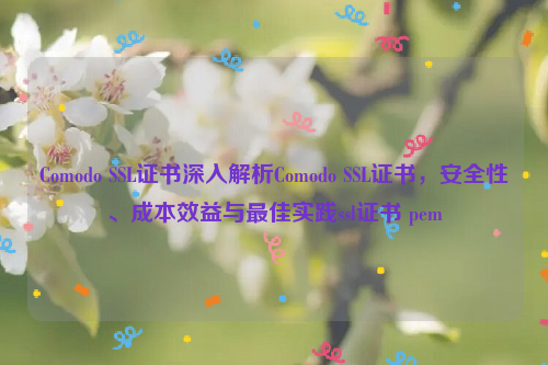 Comodo SSL证书深入解析Comodo SSL证书，安全性、成本效益与最佳实践ssl证书 pem