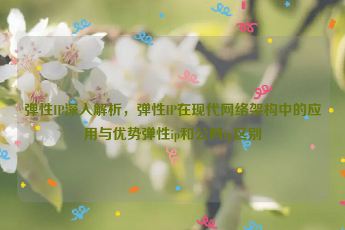 弹性IP深入解析，弹性IP在现代网络架构中的应用与优势弹性ip和公网ip区别