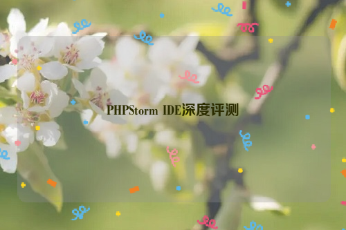 PHPStorm IDE深度评测