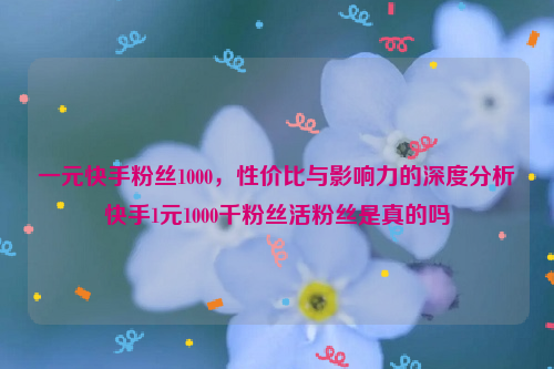 一元快手粉丝1000，性价比与影响力的深度分析快手1元1000千粉丝活粉丝是真的吗