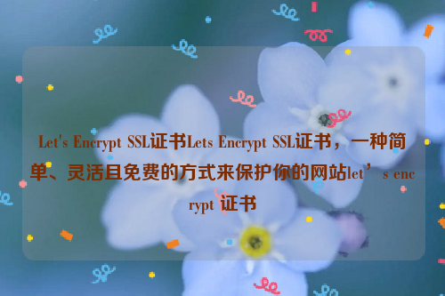 Let's Encrypt SSL证书Lets Encrypt SSL证书，一种简单、灵活且免费的方式来保护你的网站let’s encrypt 证书