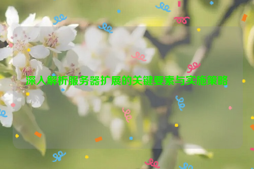 深入解析服务器扩展的关键要素与实施策略