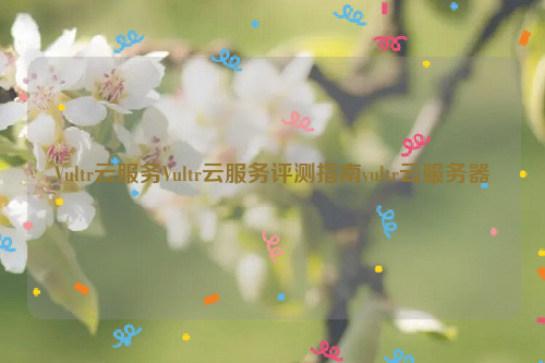 Vultr云服务Vultr云服务评测指南vultr云服务器