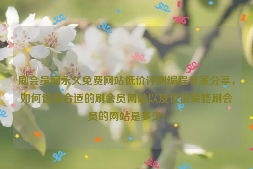 刷会员网永久免费网站低价评测编程专家分享，如何选择合适的刷会员网站以及低价策略刷会员的网站是多少?