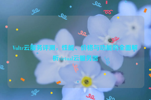 Vultr云服务评测，性能、价格与功能的全面解析virtual云服务器