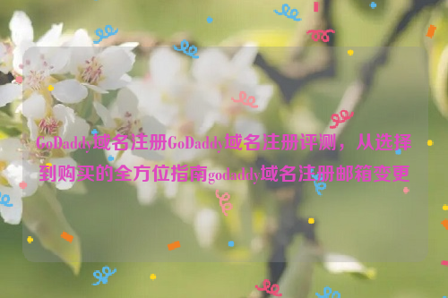 GoDaddy域名注册GoDaddy域名注册评测，从选择到购买的全方位指南godaddy域名注册邮箱变更
