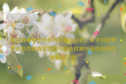 给抖音刷双击的软件评测与分析，关于抖音刷双击软件的真实效果与安全性刷抖音双击软件破解版下载