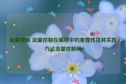 流量控制 流量控制在编程中的重要性及其实践方法流量控制阀