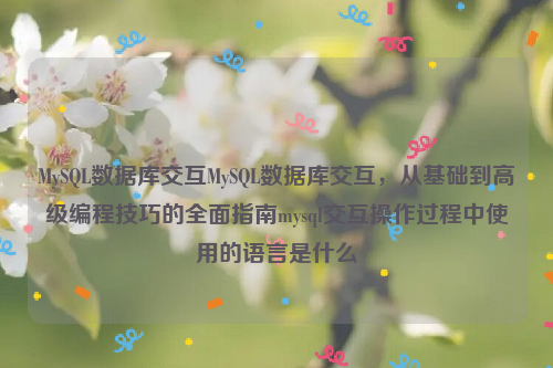 MySQL数据库交互MySQL数据库交互，从基础到高级编程技巧的全面指南mysql交互操作过程中使用的语言是什么