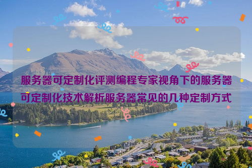 服务器可定制化评测编程专家视角下的服务器可定制化技术解析服务器常见的几种定制方式