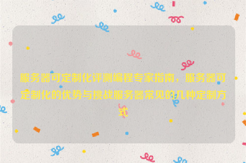 服务器可定制化评测编程专家指南，服务器可定制化的优势与挑战服务器常见的几种定制方式