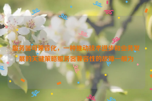 服务器可兼容化，一种推动技术进步和业务发展的关键策略服务器兼容性的故障一般为