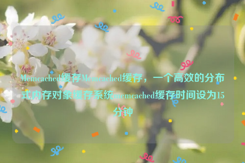 Memcached缓存Memcached缓存，一个高效的分布式内存对象缓存系统memcached缓存时间设为15分钟