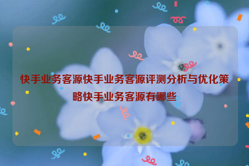 快手业务客源快手业务客源评测分析与优化策略快手业务客源有哪些