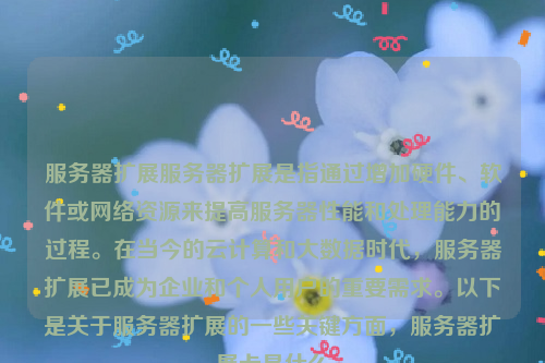 服务器扩展服务器扩展是指通过增加硬件、软件或网络资源来提高服务器性能和处理能力的过程。在当今的云计算和大数据时代，服务器扩展已成为企业和个人用户的重要需求。以下是关于服务器扩展的一些关键方面，服务器扩展卡是什么