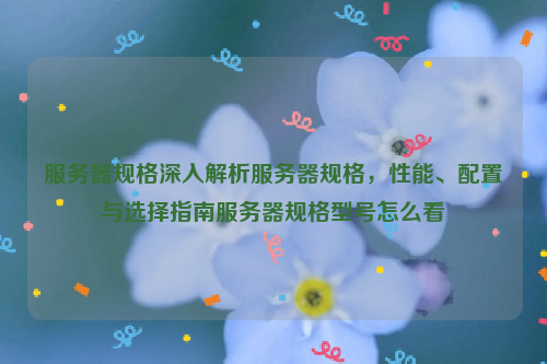 服务器规格深入解析服务器规格，性能、配置与选择指南服务器规格型号怎么看