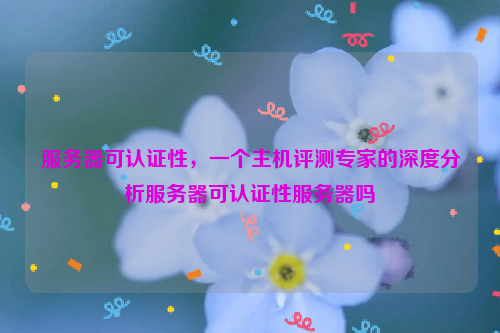服务器可认证性，一个主机评测专家的深度分析服务器可认证性服务器吗