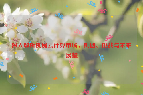 深入解析机房云计算市场，机遇、挑战与未来展望