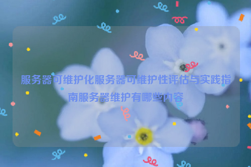 服务器可维护化服务器可维护性评估与实践指南服务器维护有哪些内容