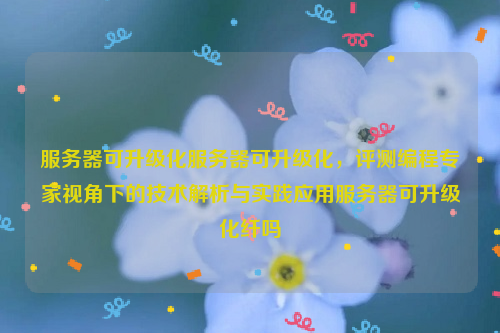 服务器可升级化服务器可升级化，评测编程专家视角下的技术解析与实践应用服务器可升级化纤吗
