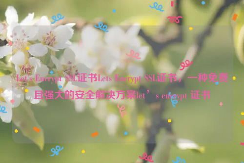 Let's Encrypt SSL证书Lets Encrypt SSL证书，一种免费且强大的安全解决方案let’s encrypt 证书