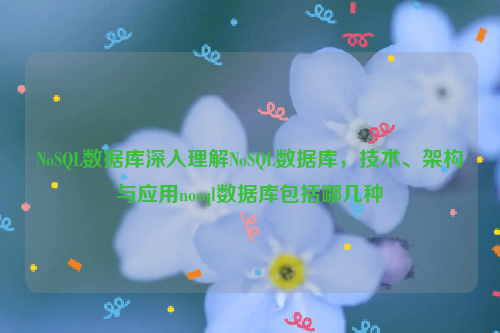 NoSQL数据库深入理解NoSQL数据库，技术、架构与应用nosql数据库包括哪几种