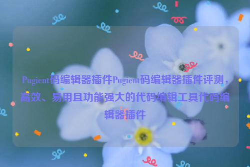 Pugient码编辑器插件Pugient码编辑器插件评测，高效、易用且功能强大的代码编辑工具代码编辑器插件