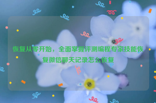 恢复从零开始，全面掌握评测编程专家技能恢复微信聊天记录怎么恢复