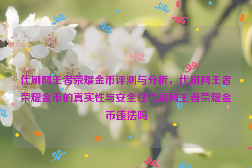 代刷网王者荣耀金币评测与分析，代刷网王者荣耀金币的真实性与安全性代刷网王者荣耀金币违法吗