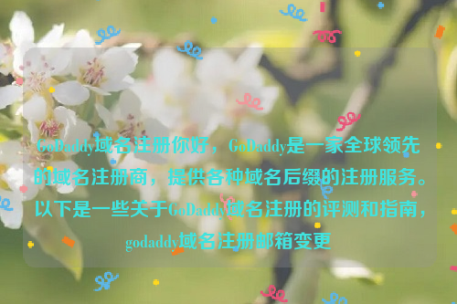 GoDaddy域名注册你好，GoDaddy是一家全球领先的域名注册商，提供各种域名后缀的注册服务。以下是一些关于GoDaddy域名注册的评测和指南，godaddy域名注册邮箱变更