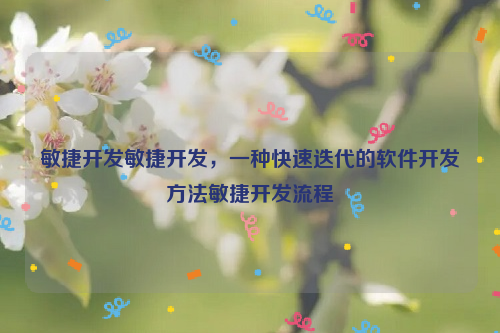 敏捷开发敏捷开发，一种快速迭代的软件开发方法敏捷开发流程
