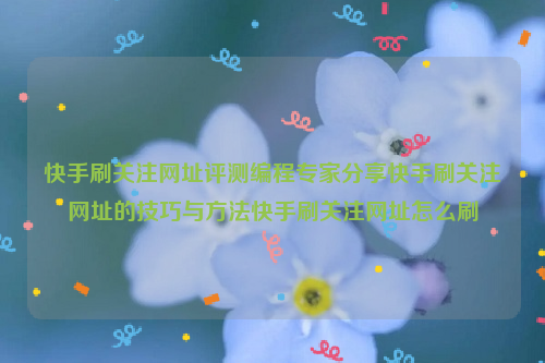 快手刷关注网址评测编程专家分享快手刷关注网址的技巧与方法快手刷关注网址怎么刷