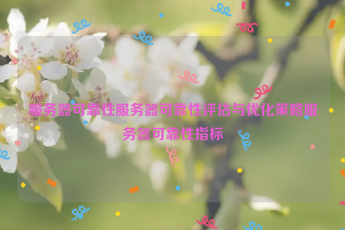 服务器可靠性服务器可靠性评估与优化策略服务器可靠性指标
