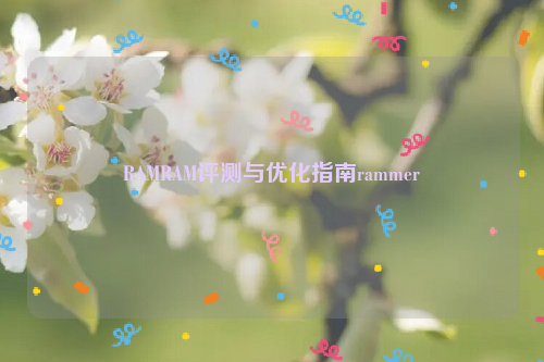 RAMRAM评测与优化指南rammer