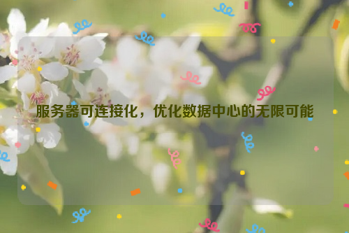 服务器可连接化，优化数据中心的无限可能