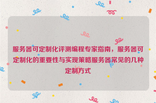服务器可定制化评测编程专家指南，服务器可定制化的重要性与实现策略服务器常见的几种定制方式