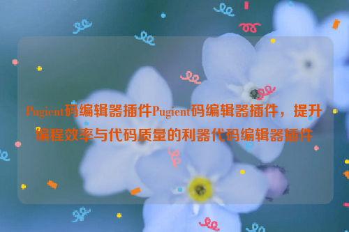 Pugient码编辑器插件Pugient码编辑器插件，提升编程效率与代码质量的利器代码编辑器插件