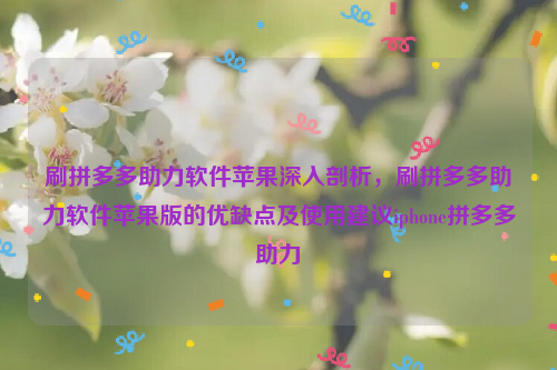 刷拼多多助力软件苹果深入剖析，刷拼多多助力软件苹果版的优缺点及使用建议iphone拼多多助力