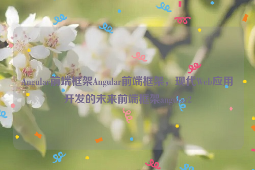 Angular前端框架Angular前端框架，现代Web应用开发的未来前端框架angular2
