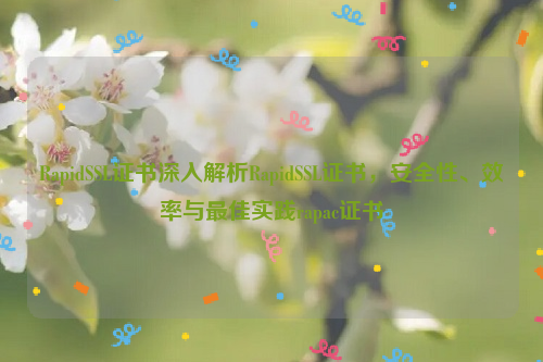 RapidSSL证书深入解析RapidSSL证书，安全性、效率与最佳实践rapac证书